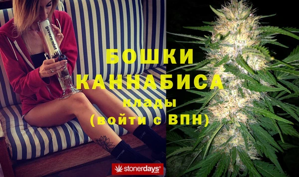 спиды Бронницы