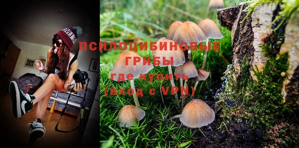 спиды Бронницы