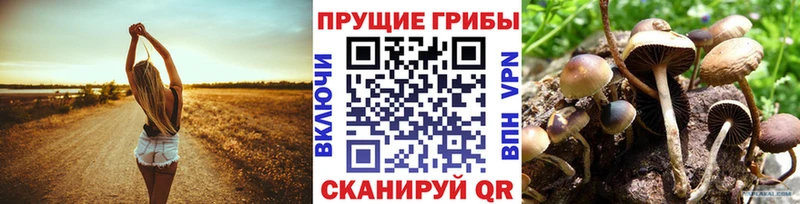 Псилоцибиновые грибы мухоморы  Кораблино 